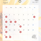 【豊見城市の歯医者】8月診療